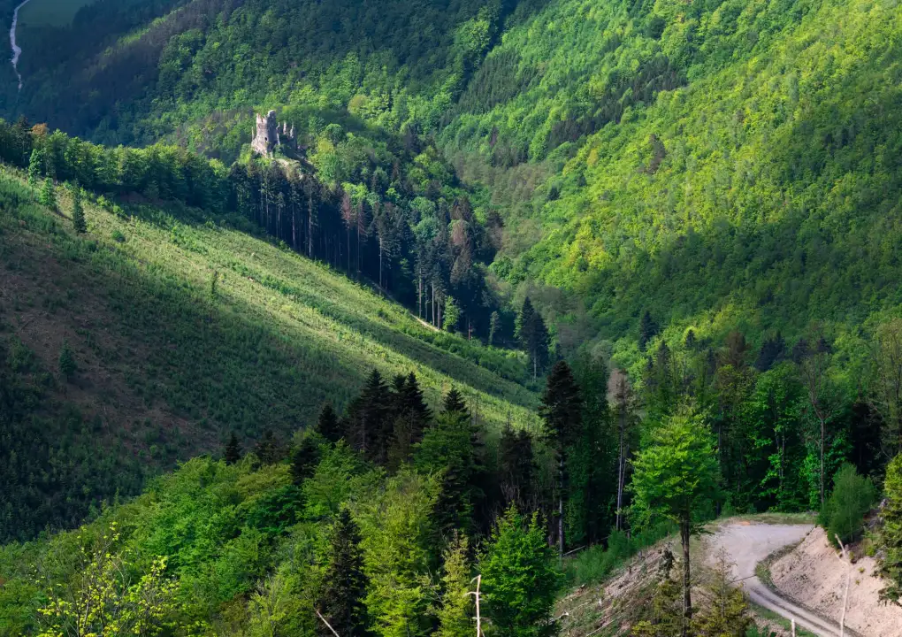 Malá Fatra - tip na výlet na Chatu pod Suchým